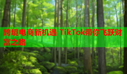 跨境电商新机遇 TikTok带你飞跃财富之路