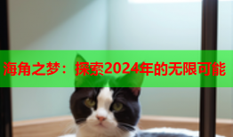 海角之梦：探索2024年的无限可能