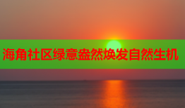 海角社区绿意盎然焕发自然生机