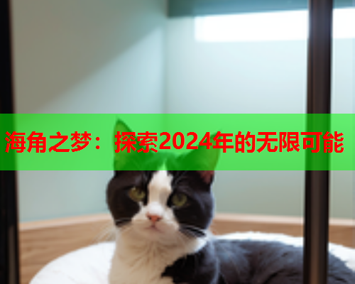 海角之梦：探索2024年的无限可能